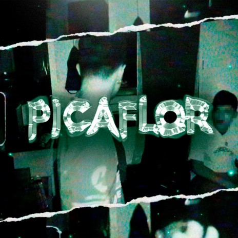 Picaflor | Boomplay Music