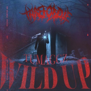 Wild Up ft. Tumaggz lyrics | Boomplay Music