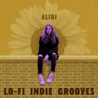 Lo-Fi Indie Grooves