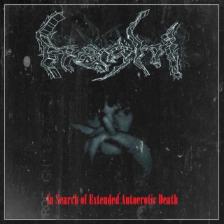 In Search of Extended Autoerotic Death