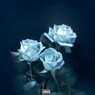 Blue Roses