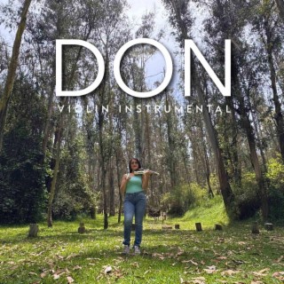 Don (Violin Instrumental)
