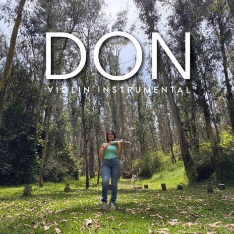 Don (Violin Instrumental) | Boomplay Music
