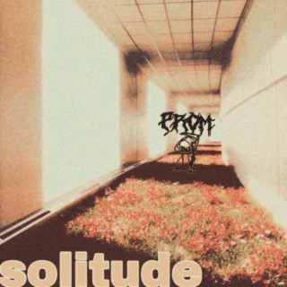 Solitude