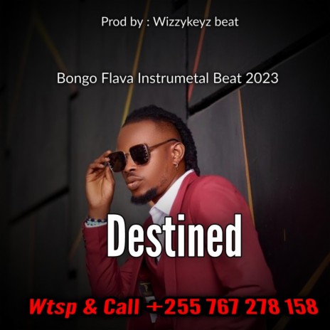 Destined - Afrobeat Instrumental beat | Boomplay Music