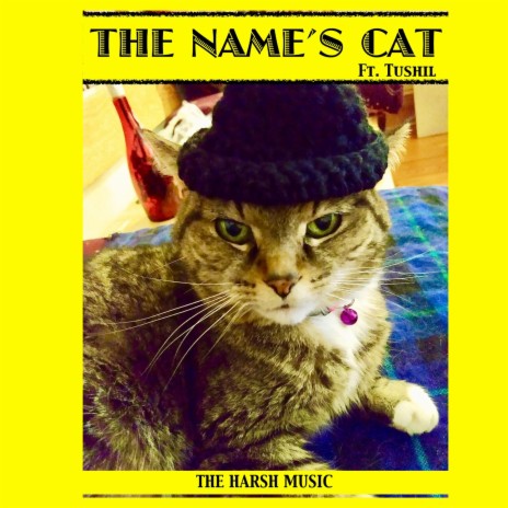 The Name's CAT! (feat. Tushil) | Boomplay Music