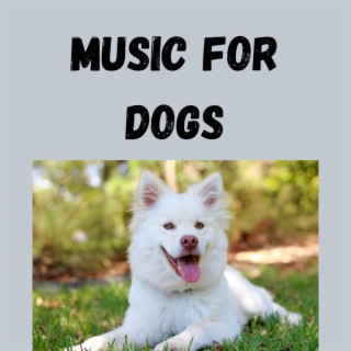 Music For Dogs (Vol.179)