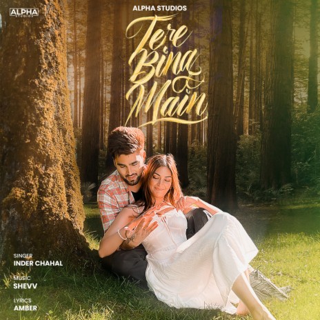 Tere Bina Main ft. Shevv | Boomplay Music