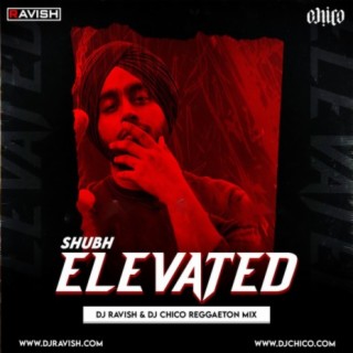 Shubh - Elevated (DJ Ravish &amp; DJ Chico Reggaeton Mix)
