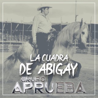 Grupo Aprueba