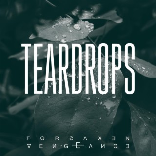 Teardrops lyrics | Boomplay Music