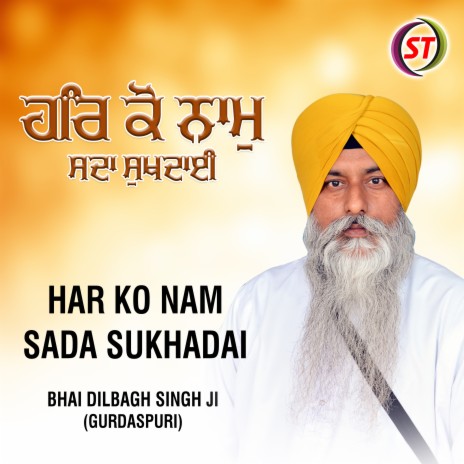 Har Ko Nam Sada Sukhadai (Panjabi) | Boomplay Music