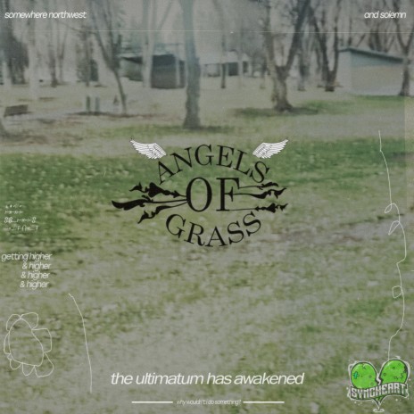 angels of grass | Boomplay Music
