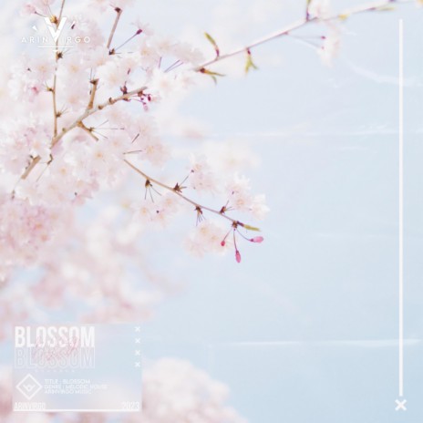 Blossom | Boomplay Music