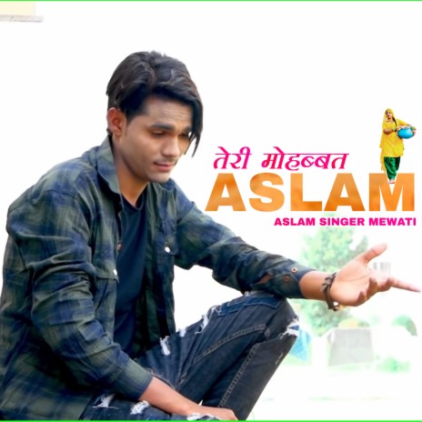 Teri Mohabbat Aslam | Boomplay Music