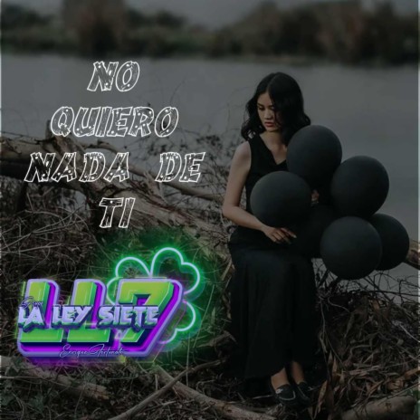 No Quiero Nada De Ti | Boomplay Music