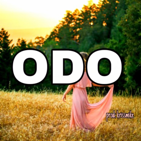 Odo Afro beats (Dancehall) Free