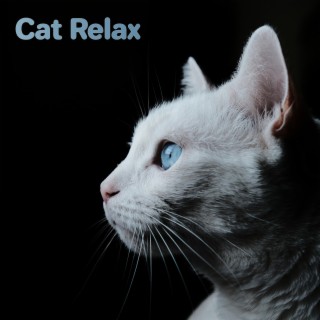 Cat Relax