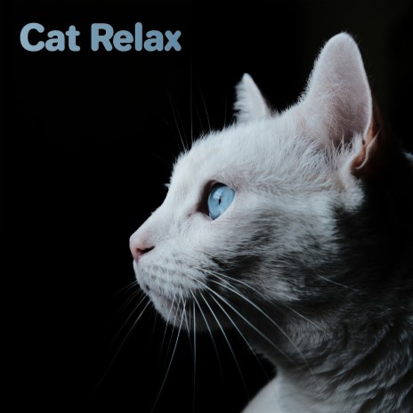 Flute Intentions ft. Cat Music & Calm Music for Cats | Boomplay Music