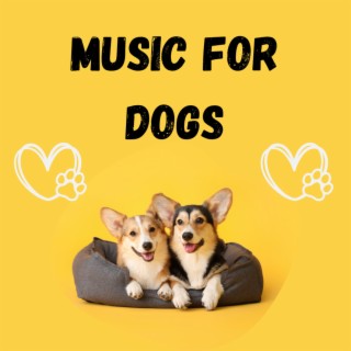 Music For Dogs (Vol.178)