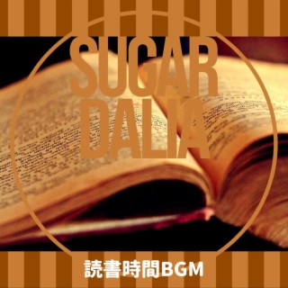 読書時間bgm