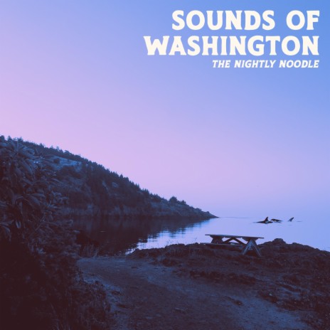 Sounds of Washington