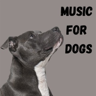 Music For Dogs (Vol.171)
