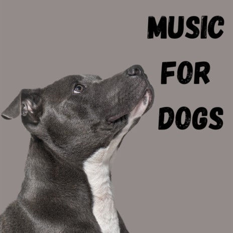 Dogs World ft. Music For Dogs Peace, Calm Pets Music Academy & Relaxing Puppy Music