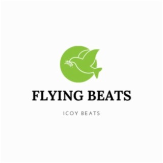 Flying Beats