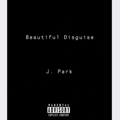 Beautiful Disguise | Boomplay Music