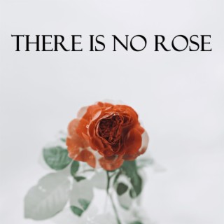 There Is No Rose