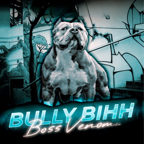 Bully Bihh | Boomplay Music