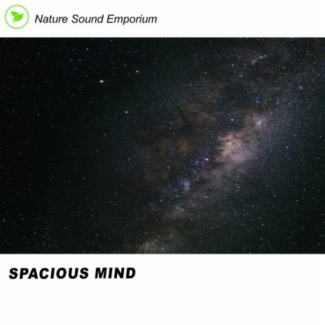 Spacious Mind | Boomplay Music