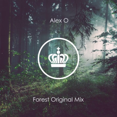 Forest (Original Mix) | Boomplay Music