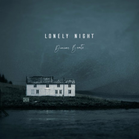 Lonely Night | Boomplay Music