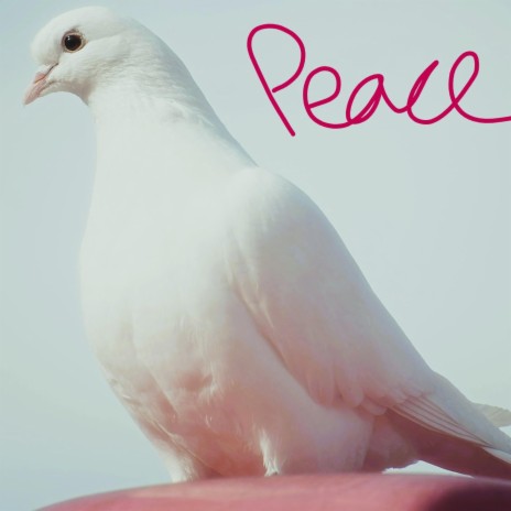 peace | Boomplay Music