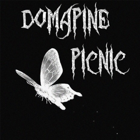 Picnic | Boomplay Music