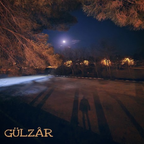 Gülzâr | Boomplay Music