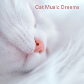 Cat Music Dreams