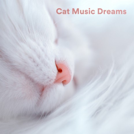 Almost There ft. Cat Music & Calm Music for Cats | Boomplay Music