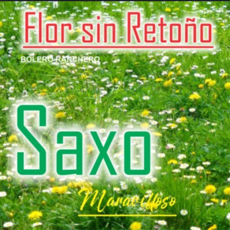 Flor Sin Retoño (Cover) | Boomplay Music