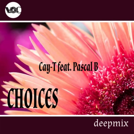 Choices (Deep mix) ft. Pascal B