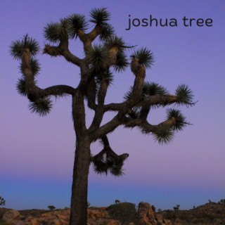 Joshua Tree