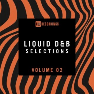 Liquid Drum & Bass Selections, Vol. 02