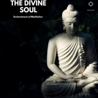 The Divine Soul: Enchantment of Meditation