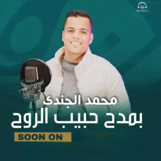 بمدح حبيب الروح - محمد الجندي