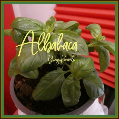 Albahaca | Boomplay Music