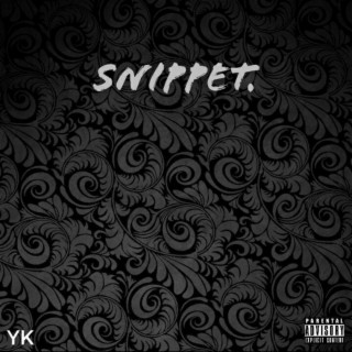 Snippet lyrics | Boomplay Music