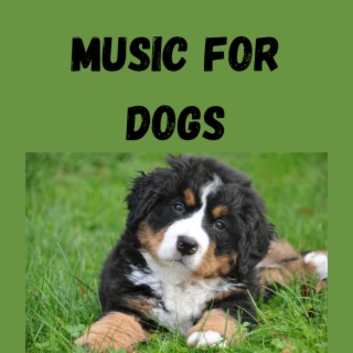 Music For Dogs (Vol.180)