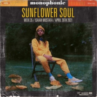 Sunflower Soul lyrics | Boomplay Music
